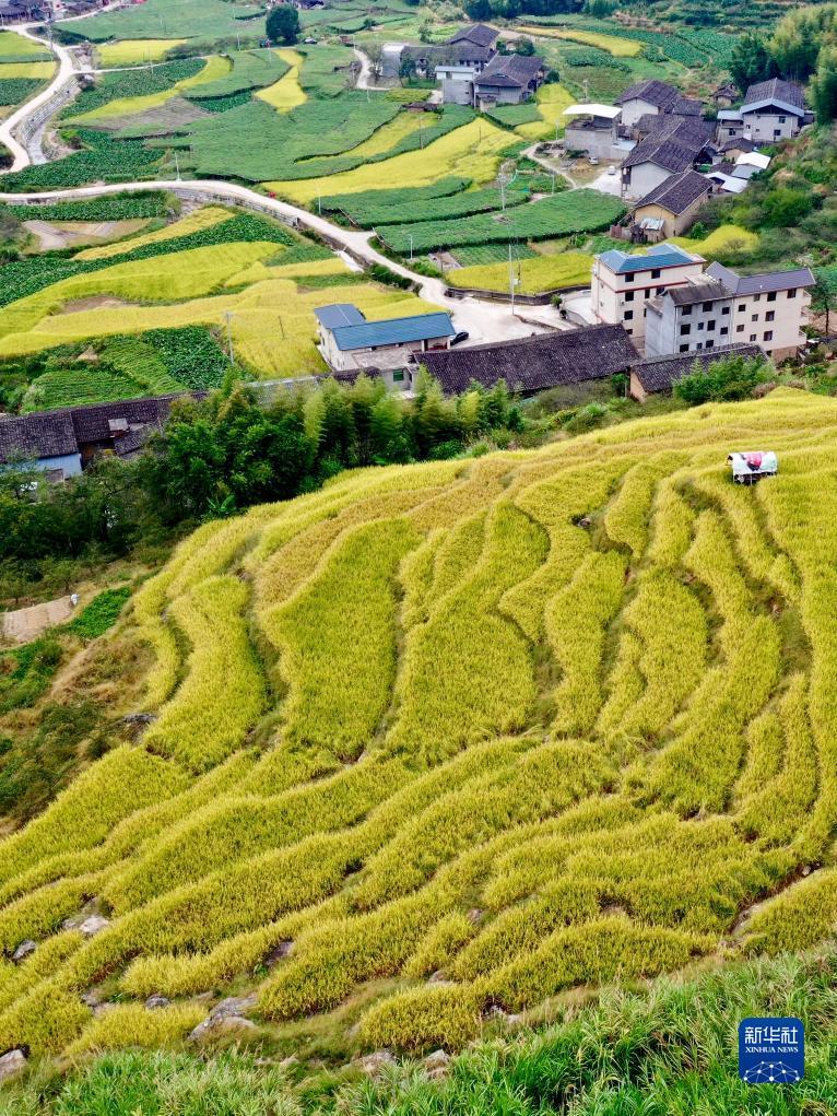 中国游戏中心